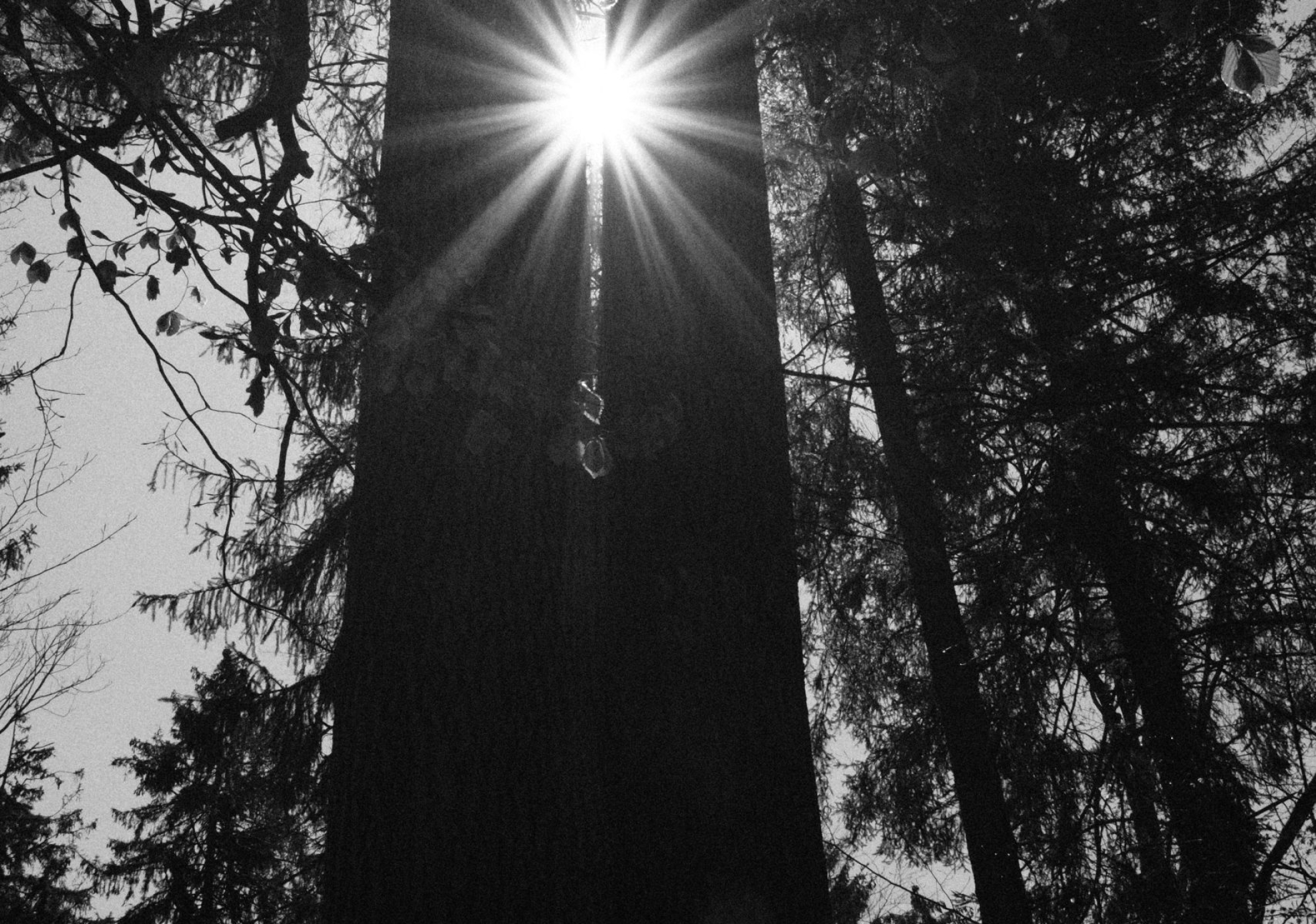 chris-zueger-zAsMYHf_irA-unsplash