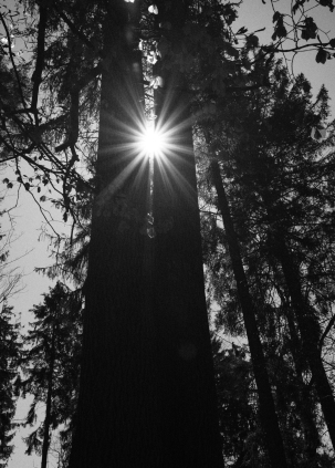 chris-zueger-zAsMYHf_irA-unsplash