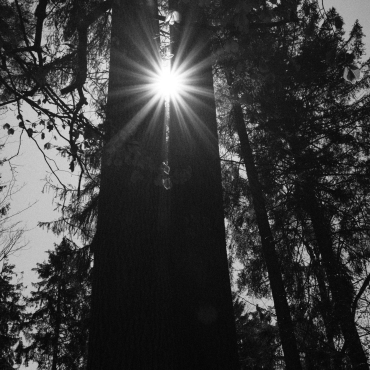 chris-zueger-zAsMYHf_irA-unsplash