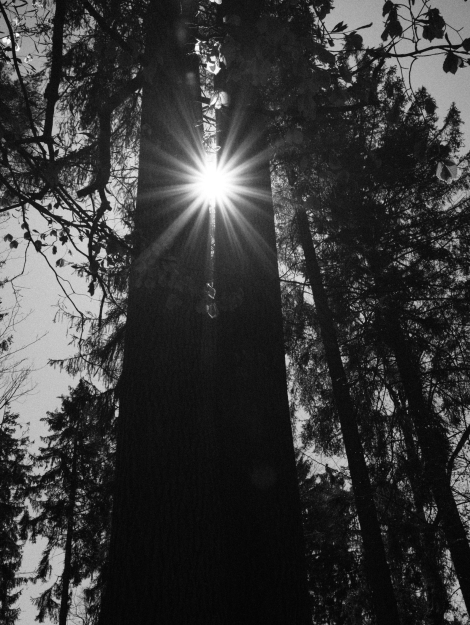 chris-zueger-zAsMYHf_irA-unsplash