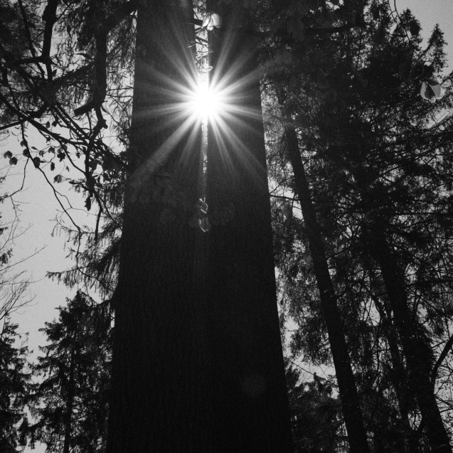 chris-zueger-zAsMYHf_irA-unsplash