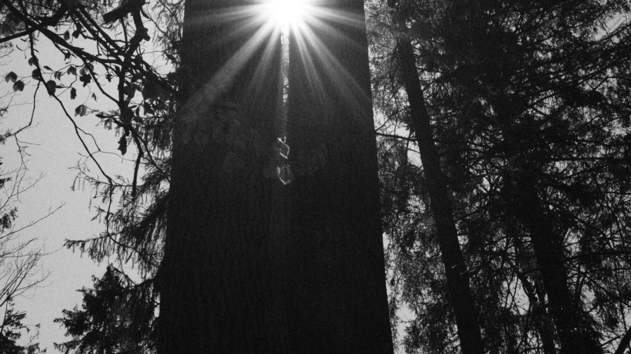 chris-zueger-zAsMYHf_irA-unsplash