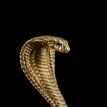 coppertist-wu-JxtGLEQ-p-Q-unsplash