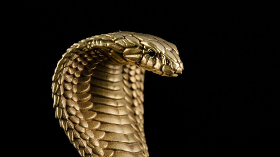 coppertist-wu-JxtGLEQ-p-Q-unsplash