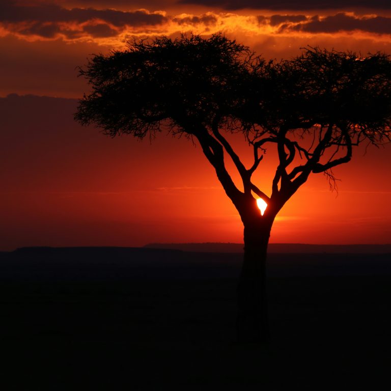 david-heiling-O17rR0KwzfY-unsplash