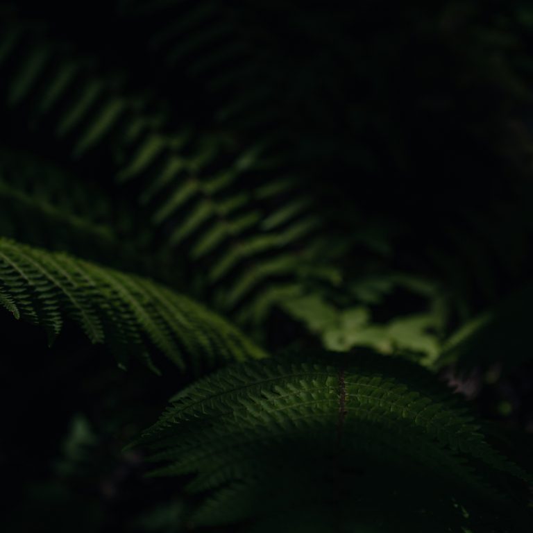 jayesh-joshi-iqUB34VbDmI-unsplash