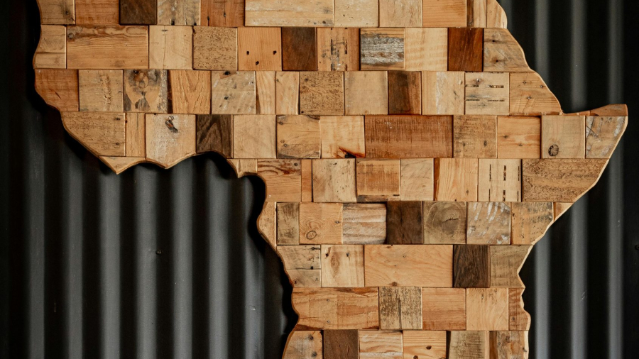 pexels-magda-ehlers-pexels-2660262