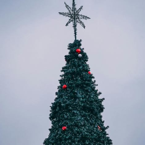 pexels-r-aydin-712206441-19600437