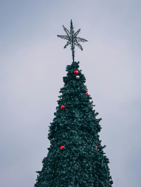 pexels-r-aydin-712206441-19600437