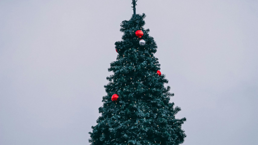 pexels-r-aydin-712206441-19600437