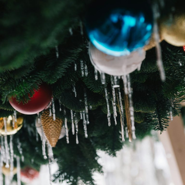 pexels-antonbru-1719574