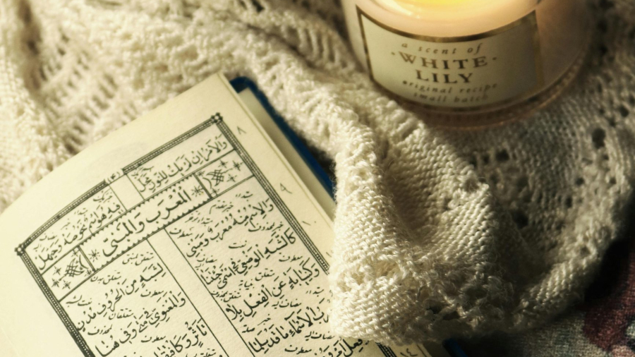 pexels-monatrms-3074209